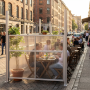 31.png